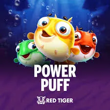 Power Puff - JPMAXWIN188