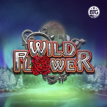 Bigtime : Wild Flower - JPMAXWIN188